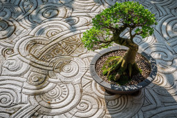 Bonsai Tree and Zen Garden Patterns