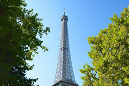 Eiffel Tower Framed by Trees