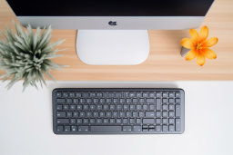 a keyboard and a plant on a desk