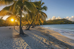 Sunset on Tropical Beach with Palm Trees