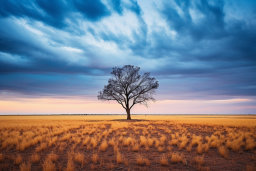 Solitary Tree at Sunset