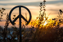 a peace sign in the middle of a field