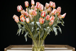 Vase of Pink and White Tulips
