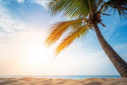 un palmier sur une plage