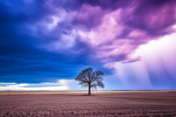 Lone Tree Under Stormy Purple Skies