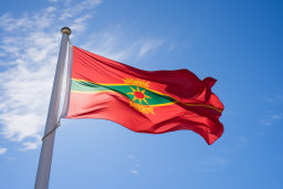 Un drapeau rouge avec une bande verte et un soleil sur un poteau de drapeau