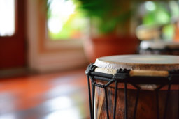 Close-up of a Djembe Drum