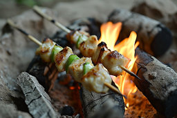 Grilled Skewers Over Open Fire