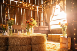 Rustic Barn Interior with Sunlight