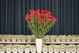 Red Flowers in Vase at Theater