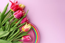 Pink Tulips and Rainbow on Pastel Background