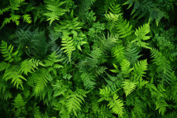 Vibrant Green Ferns Texture