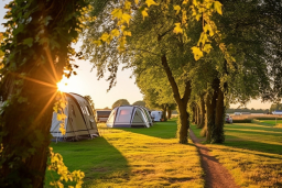 un groupe de tentes sur l'herbe avec des arbres et un chemin