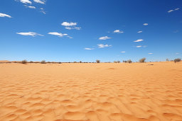 a sandy area with blue sky and clouds
