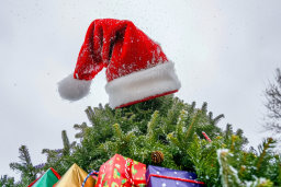 Santa Hat on Christmas Tree