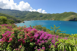 Tropical Bay with Blooming Flowers