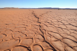 Cracked Desert Floor